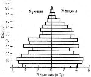 Рис. 2. Возрастная пирамида.