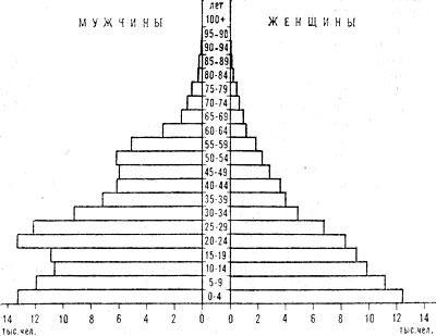 Возрастно-половая пирамида населения Брунея. 1976