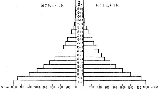 Возрастно-половая пирамида населения Марокко. 1978