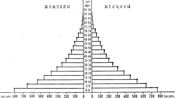 Возрастно-половая пирамида населения Эквадора. 1981